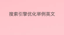搜索引擎优化举例英文 搜索引擎优化抓取举例 搜索引擎优化举例英文 搜索引擎优化抓取举例
