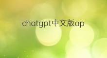 chatgpt中文版app(chatgpt中文版下载app)
