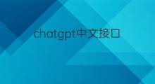 chatgpt中文接口(chatgpt接口提供中文助理服务)