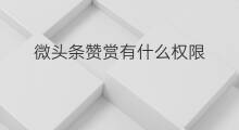 微头条赞赏有什么权限 怎样设置微头条赞赏