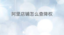 阿里店铺怎么查降权 阿里怎么查降权查询