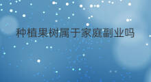 种植果树属于家庭副业吗 家庭副业可以做吗