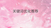 关键词优化推荐 推荐关键词优化团队