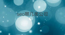 seo哪几类公司 Lazada侵权分为哪几类