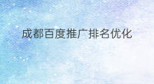 成都百度推广排名优化 成都百度排名优化