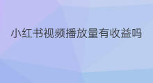 小红书视频播放量有收益吗 小红书短视频如何收益