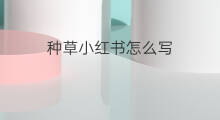 种草小红书怎么写 小红书怎么种草