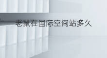 老鼠在国际空间站多久 国际空间站多大