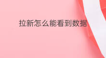 拉新怎么能看到数据 怎样拉新数据赚钱