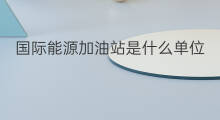 国际能源加油站是什么单位 国际能源加油站通用吗