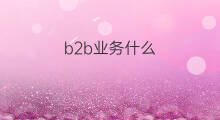 b2b业务什么 b2b业务分类