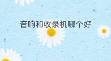 音响和收录机哪个好 单卡收录机音响怎么调