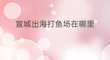 宣城出海打鱼场在哪里 甘孜正规出海打鱼场在哪里