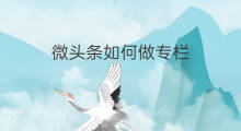 微头条如何做专栏 微头条如何开通专栏