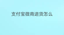 支付宝微商进货怎么 支付宝如何支付亚马逊