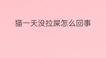 猫一天没拉屎怎么回事 快手没毛病怎么回事