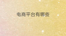 电商平台有哪些 跨境电商平台有哪些平台