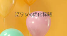 辽宁seo优化标题 辽宁seo优化