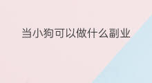 当小狗可以做什么副业 当老师可以做什么副业推荐