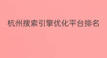 杭州搜索引擎优化平台排名 杭州搜索引擎优化排名