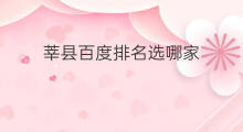莘县百度排名选哪家 百度排名选哪家
