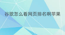 谷歌怎么看网页排名啊苹果 谷歌怎么看网页排名榜单
