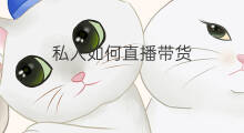 私人如何直播带货 直播带货如何无人直播带货