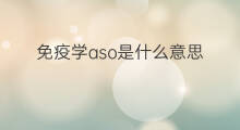 免疫学aso是什么意思 免疫aso高是什么意思