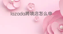 lazada跨境店怎么申请 lazada怎么申请退店啊
