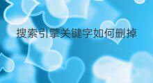 搜索引擎关键字如何删掉 诗词关键字搜索引擎有哪些