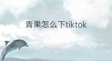 青果怎么下tiktok tiktok美国怎么下