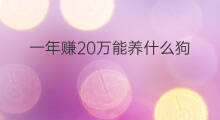 一年赚20万能养什么狗 一年赚20万能养什么花 一年赚20万能养什么狗 一年赚20万能养什么花