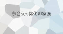 东台seo优化哪家强 东台seo优化方法
