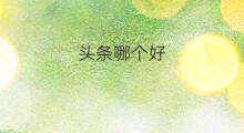 头条哪个好 头条问答和微头条哪个好