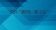 天津关键词排名优化 天津关键词网站排名优化