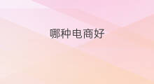 哪种电商好 电商哪种好
