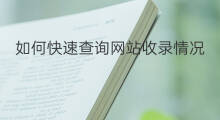 如何快速查询网站收录情况 如何查询网站收录情况