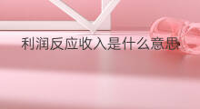 利润反应收入是什么意思 收入是什么意思