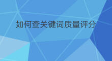 如何查关键词质量评分 如何查关键词