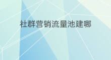 社群营销流量池建哪 社群营销怎么打造流量