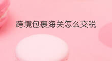 跨境包裹海关怎么交税 跨境电商包裹海关如何统计