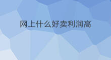 网上什么好卖利润高 什么利润高