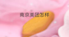 南京美团怎样 南京美团打车怎么样
