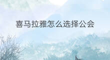 喜马拉雅怎么选择公会 喜马拉雅公会怎么签约
