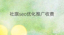 社旗seo优化推广收费 东莞seo推广优化收费