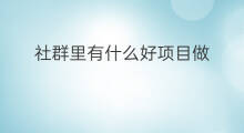 社群里有什么好项目做 社群有什么商业项目