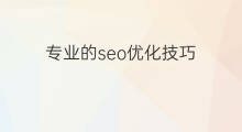 专业的seo优化技巧 专业seo优化