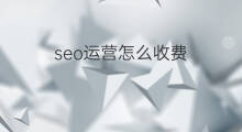 seo运营怎么收费 seo优化怎么收费