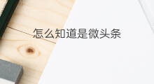 怎么知道是微头条 如何知道是优质微头条