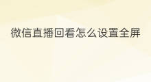 微信直播回看怎么设置全屏 快手直播回看怎么全屏